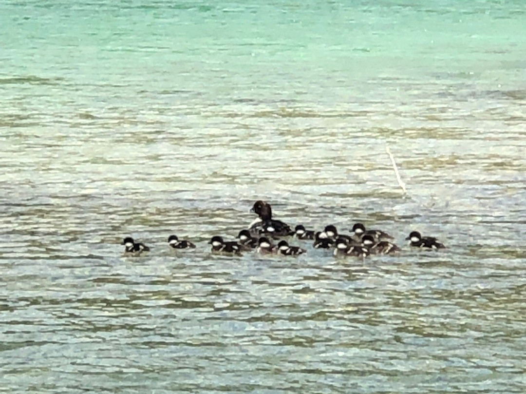 Allison Lake Provincial Park-Princeton必去景点