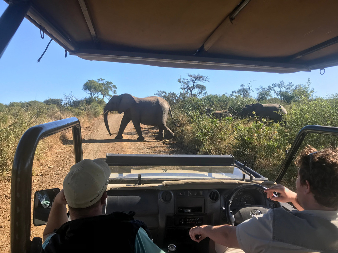 Nguni Lodge @ Kuleni Game Park主图