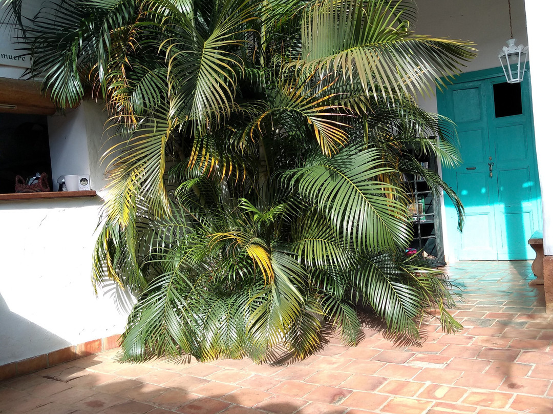 La Juanita Hostel Zapatoca主图