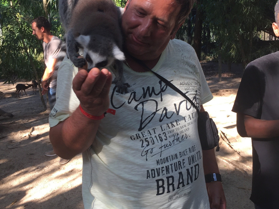 猎豹动物园-桑给巴尔岛必去景点