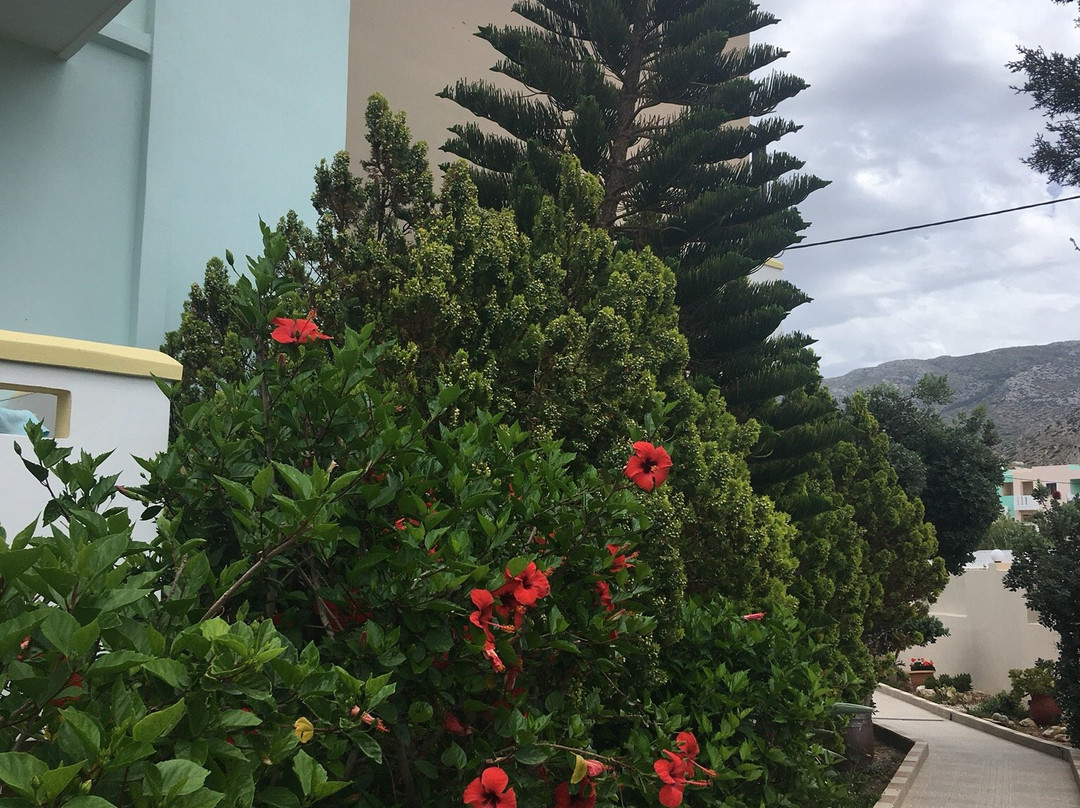 Arkasa Bay Hotel主图