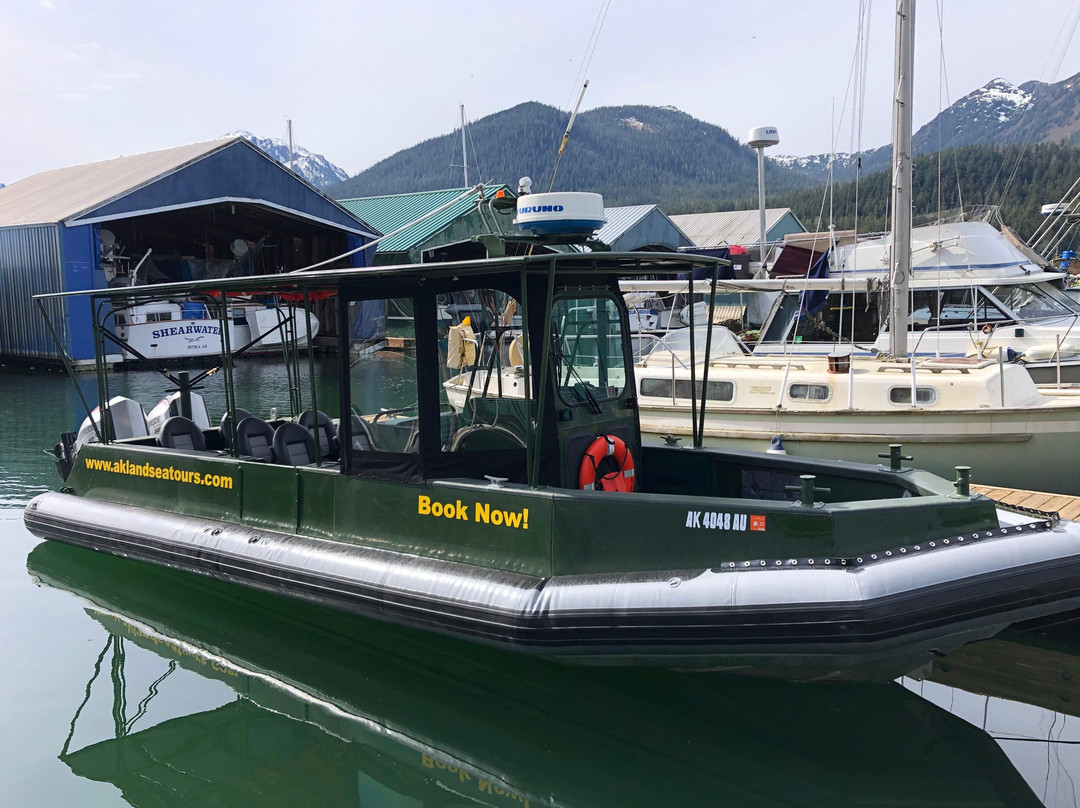 Alaska Land & Sea Adventures-朱诺必去景点