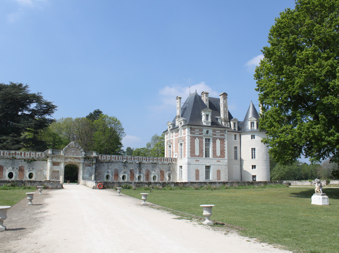 Château de Selles-sur-Cher景点图片