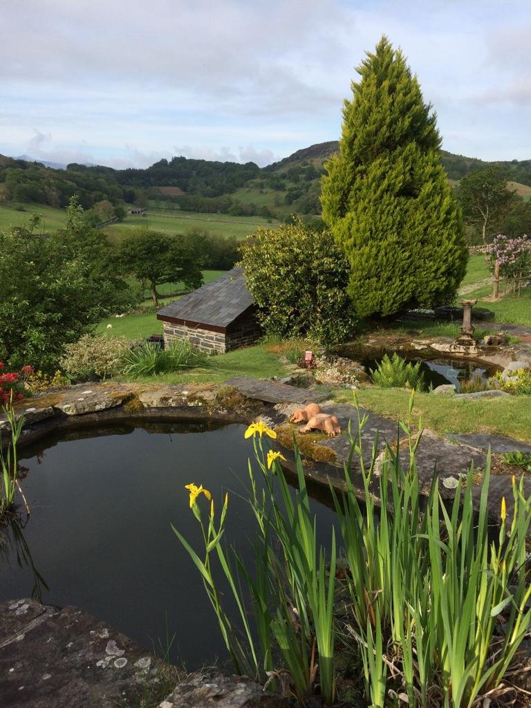 Heulwen Guest House-浴室