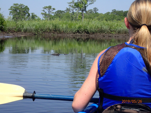 Kayak Charleston-查尔斯顿必去景点