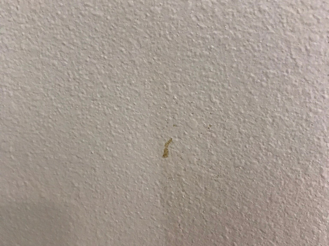 Holiday Inn Express Jacksonville Beach by IHG主图