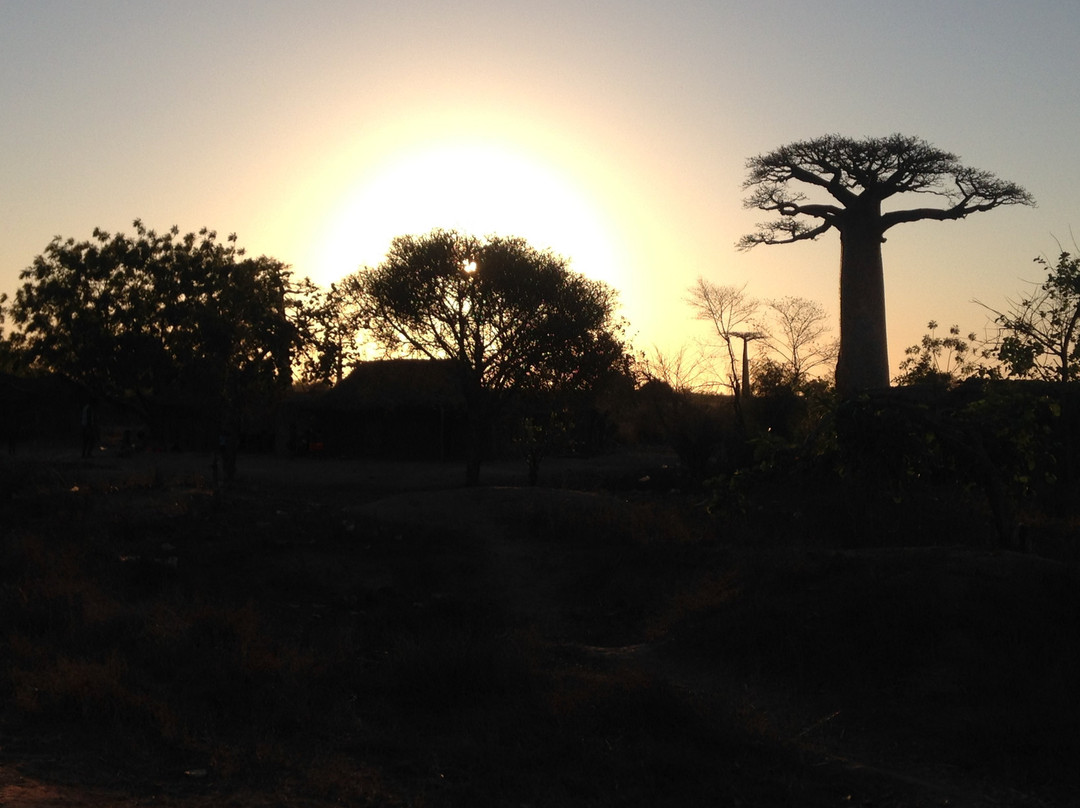 Soul of Madagascar Tours景点图片