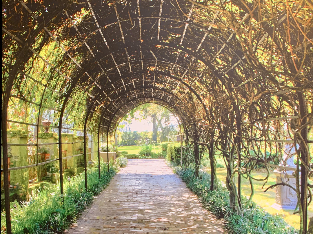 Hampton Inn & Suites New Orleans-Elmwood/Clearview Parkway Area主图