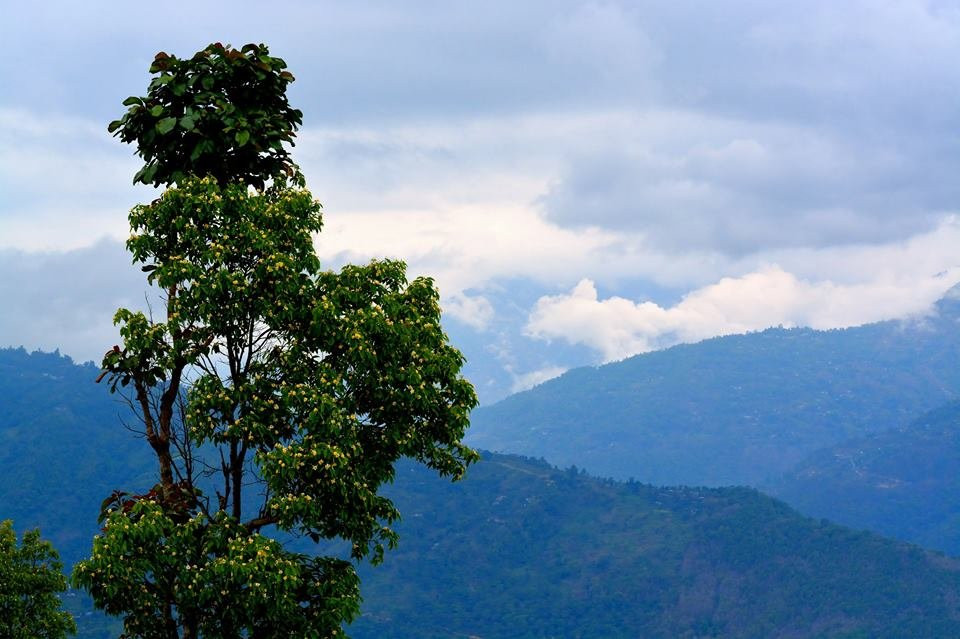 Himalayan Eagle Resort主图