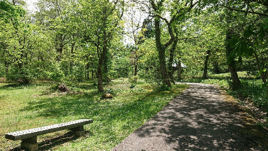 Tajima Kogen Botanical Garden-香美町必去景点