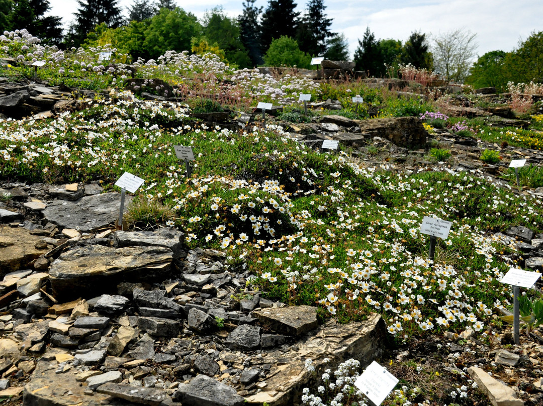 Botanischer Garten der Universität Osnabrück-奥斯纳布吕克必去景点