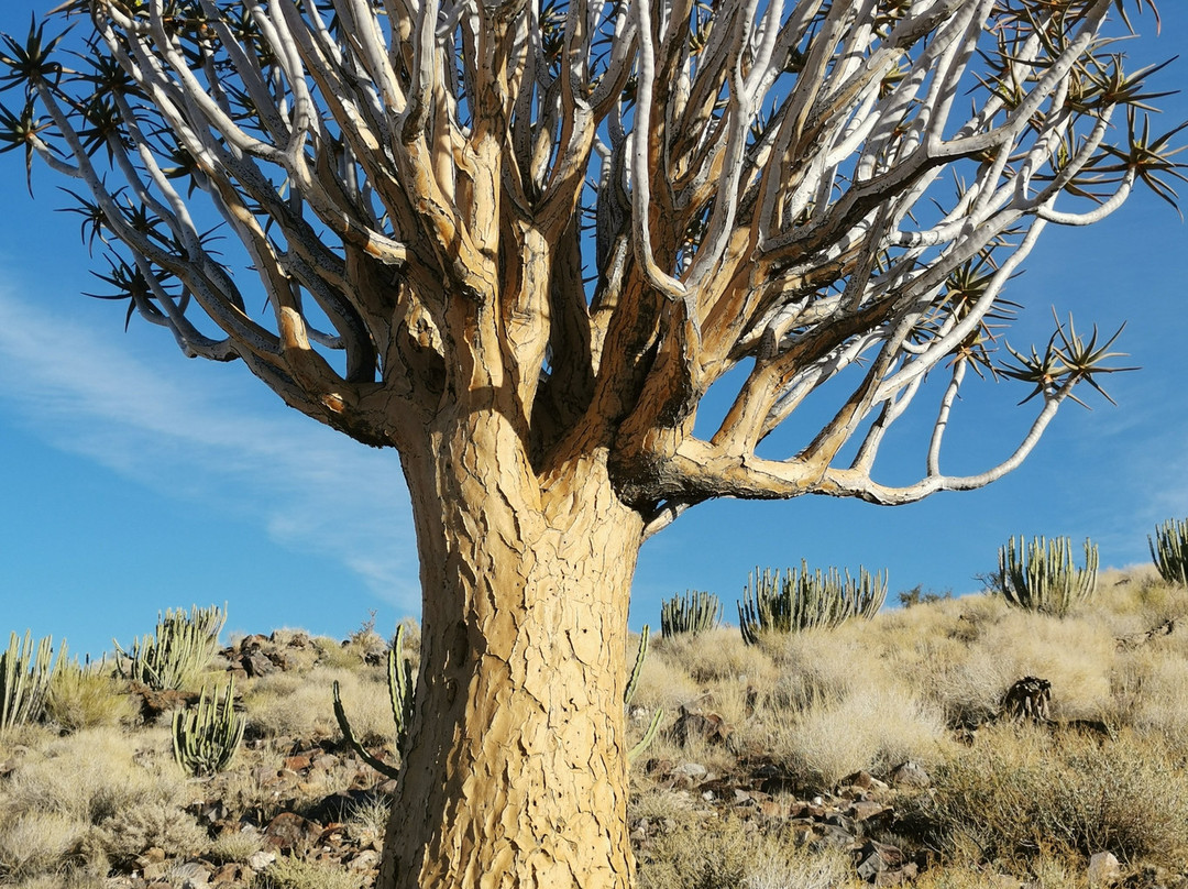 Ou Skool Guest House主图