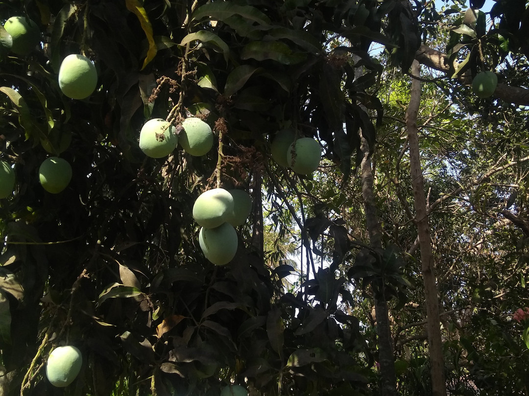 昆塔达哥拉卡酒店主图