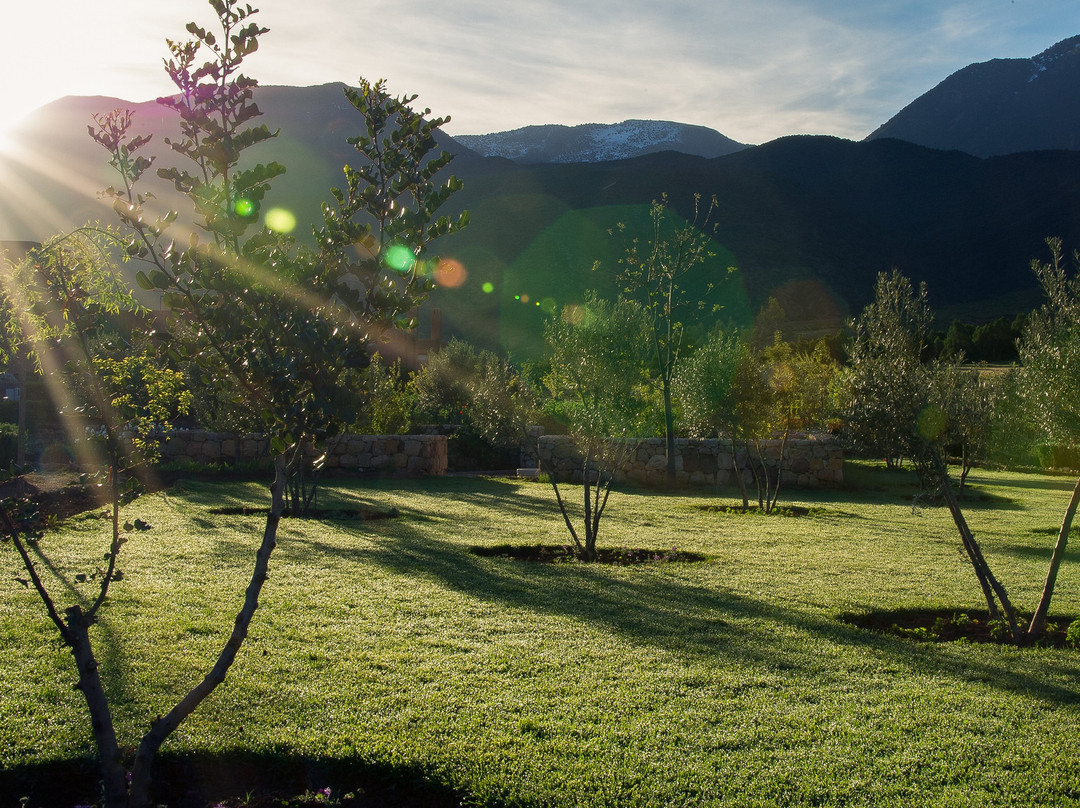 L'Amandier Hotel主图