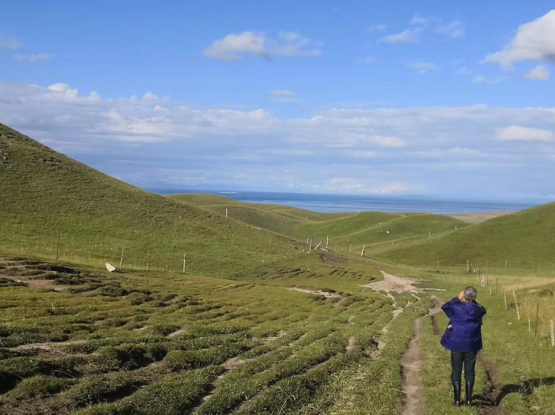 Qinghai Lake Eco-Tour-西宁市必去景点