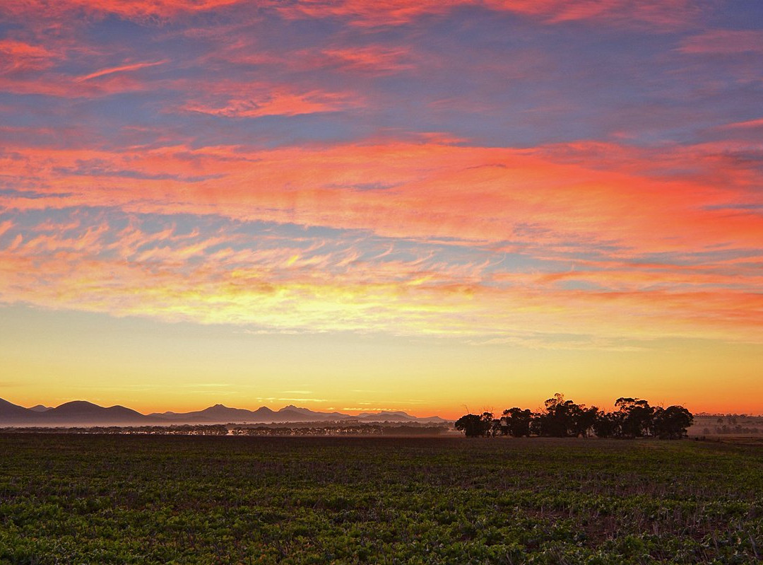 Big Bird & Wolf Chalets主图