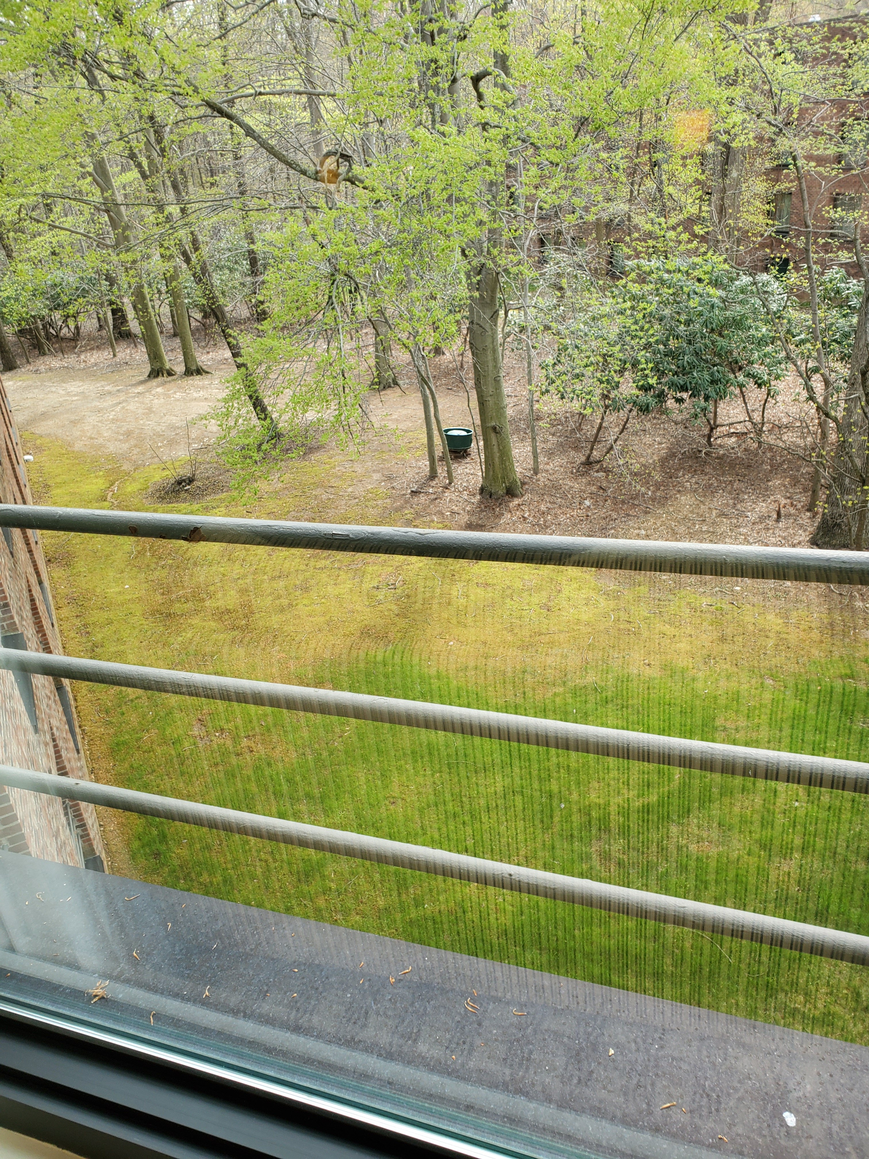 Princeton Marriott at Forrestal-酒店景观