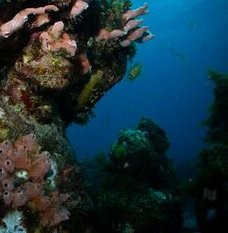 Travel Art Cancun-坎昆必去景点