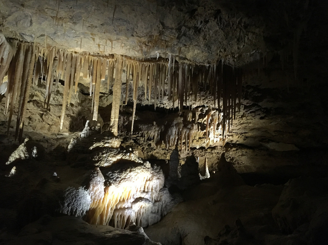 Naracoorte旅游景点-Victoria Fossil Cave