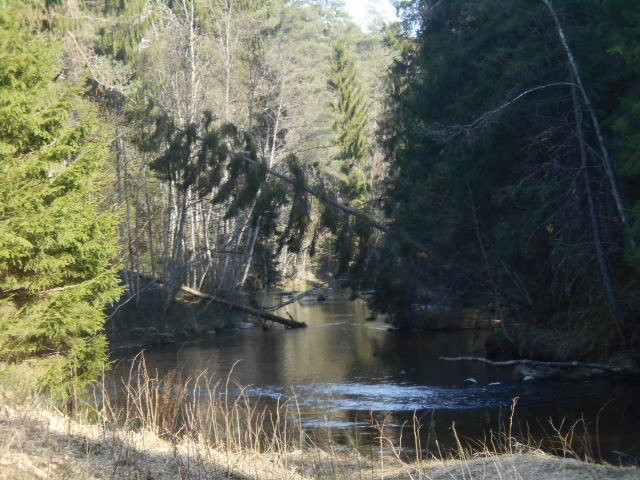 Taevaskoja Nature Trail景点图片