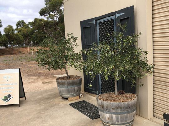 Belvidere旅游景点-Talinga Grove Farm Store