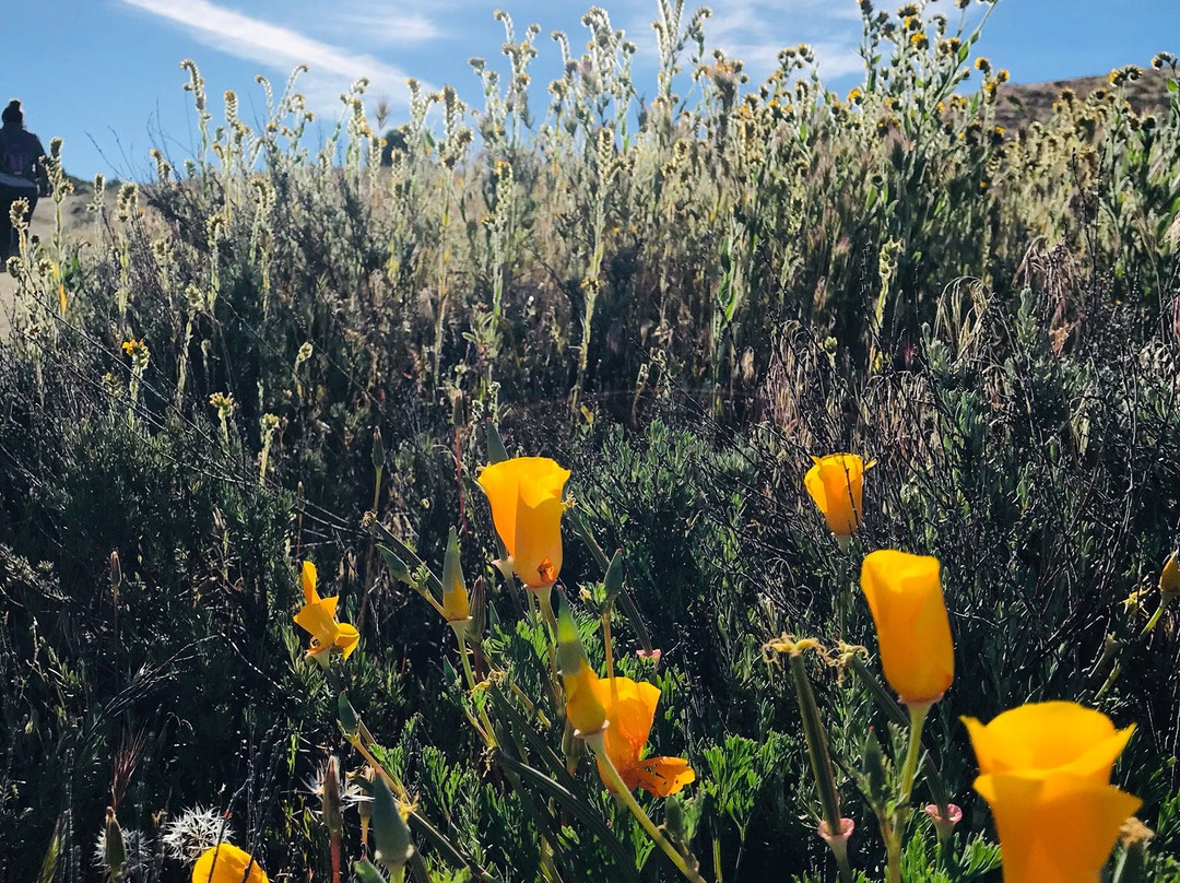 Eagle Rock-Warner Springs必去景点