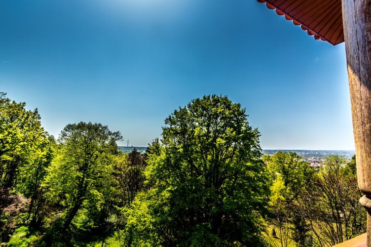 Vila Florica - CENTRUL DE CULTURĂ ,,BRĂTIANU"景点图片