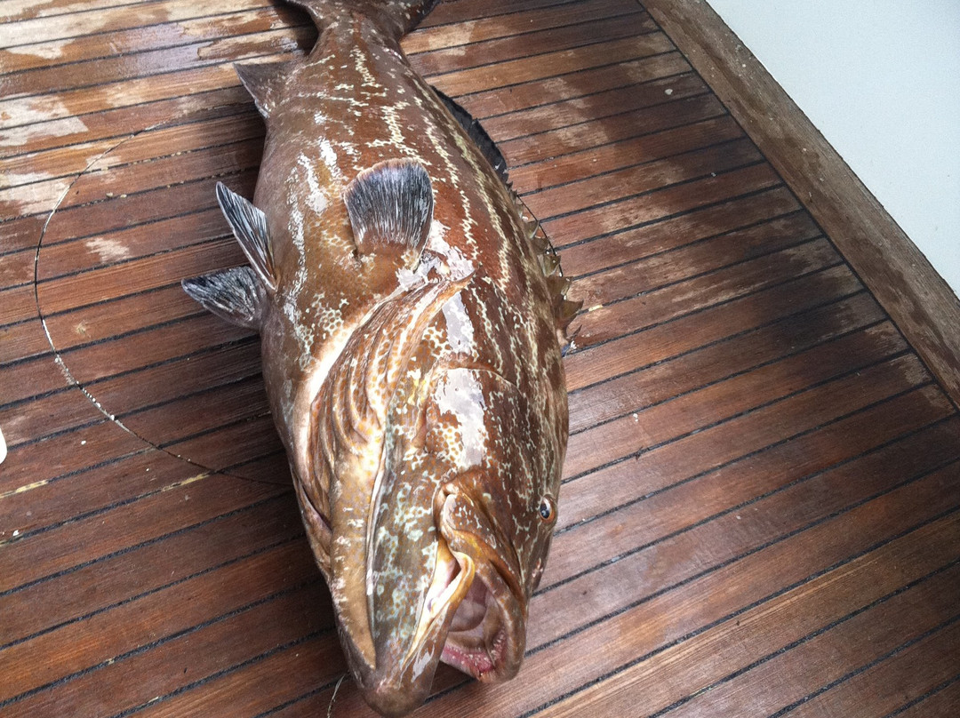 Scorpion Reef-Progreso必去景点