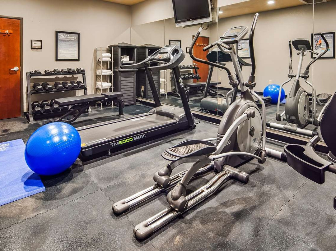 Best Western South Plains Inn & Suites主图