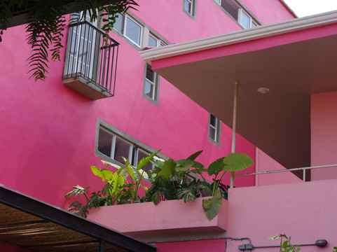 Viajero Cali Hostel主图