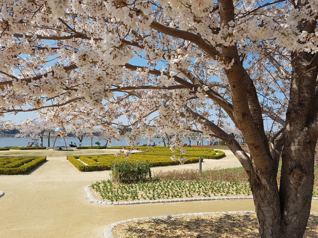 Gyeongpoho Lake-江陵市必去景点