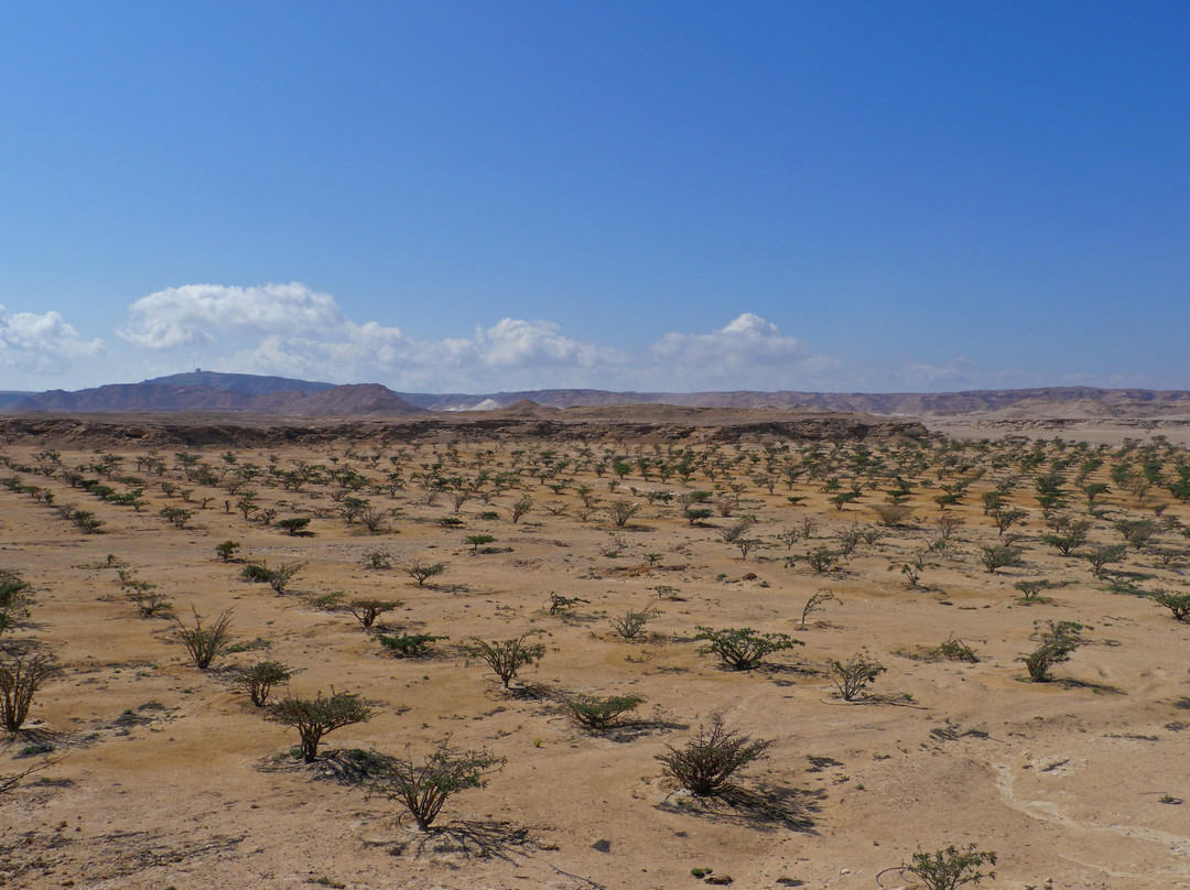 Takamul Travel Oman-塞拉莱必去景点