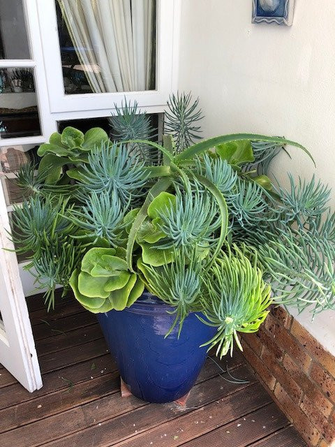 Admiralty Beach Guest House主图