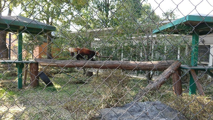 Hamura Zoo景点图片