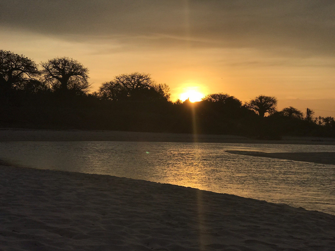 Kongo Mosque-Kwale必去景点