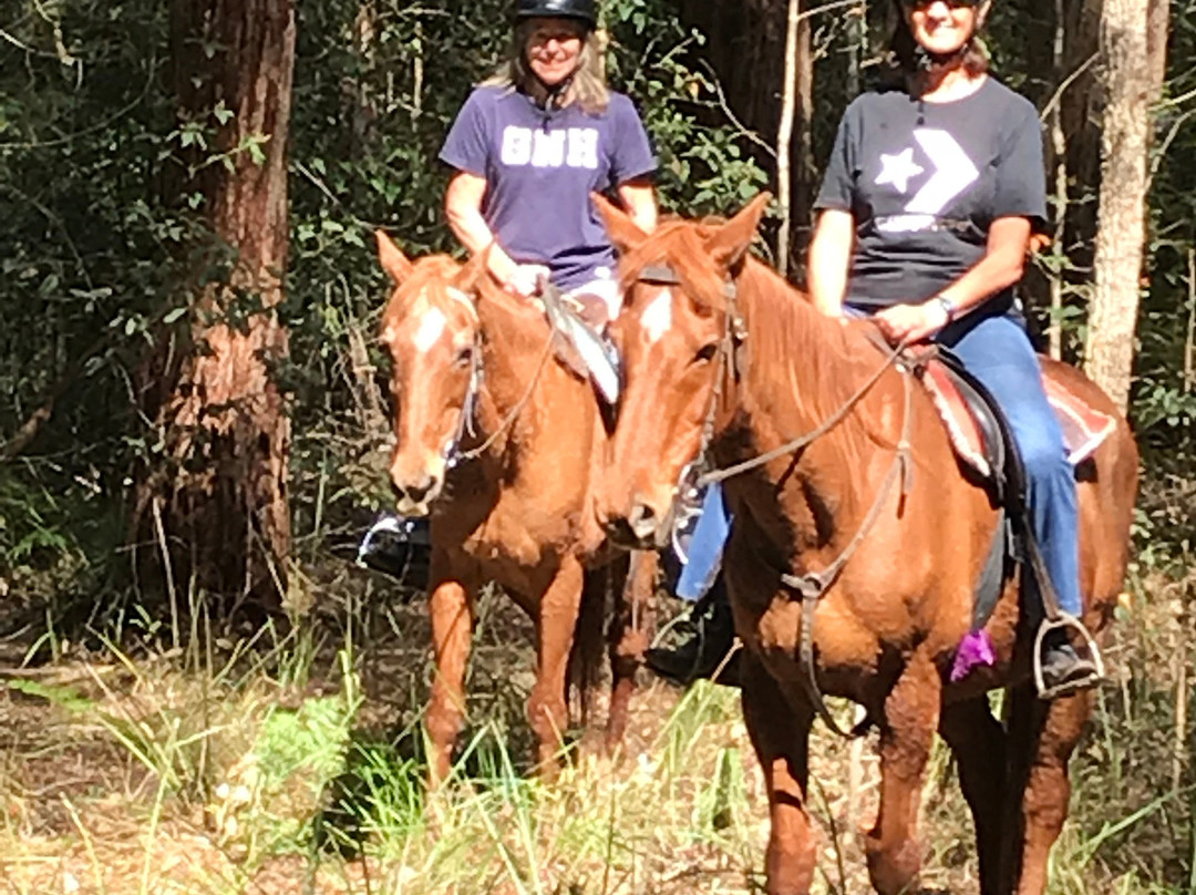 Valery Trails & Horse Riding Centre景点图片