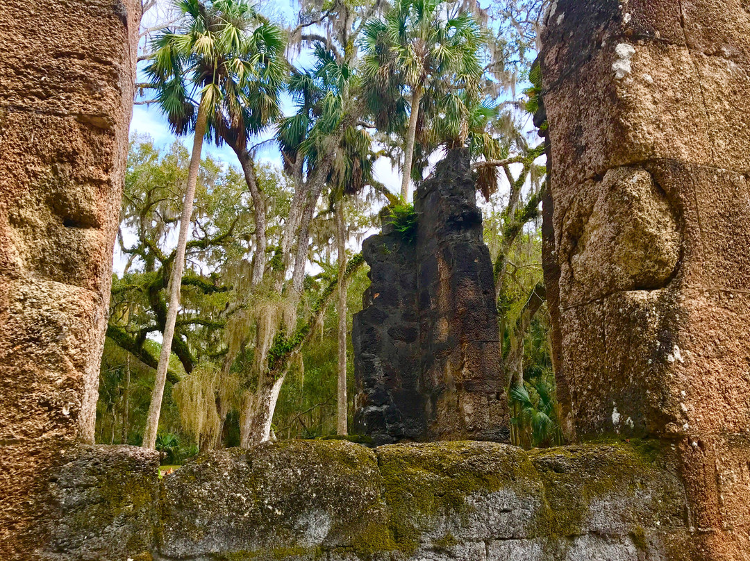 Bulow Plantation Ruins Historic State Park景点图片