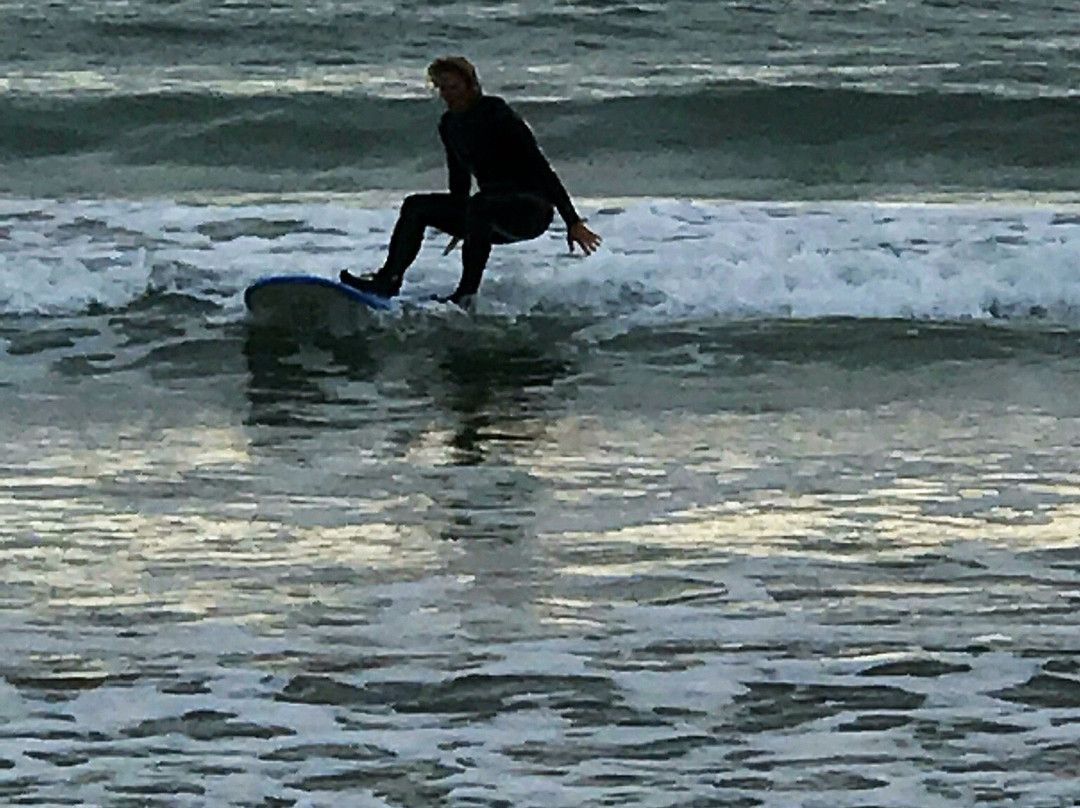 Catlins Surf School-Curio Bay必去景点