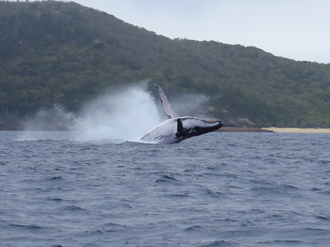 艾尔利滩-艾尔利滩必去景点