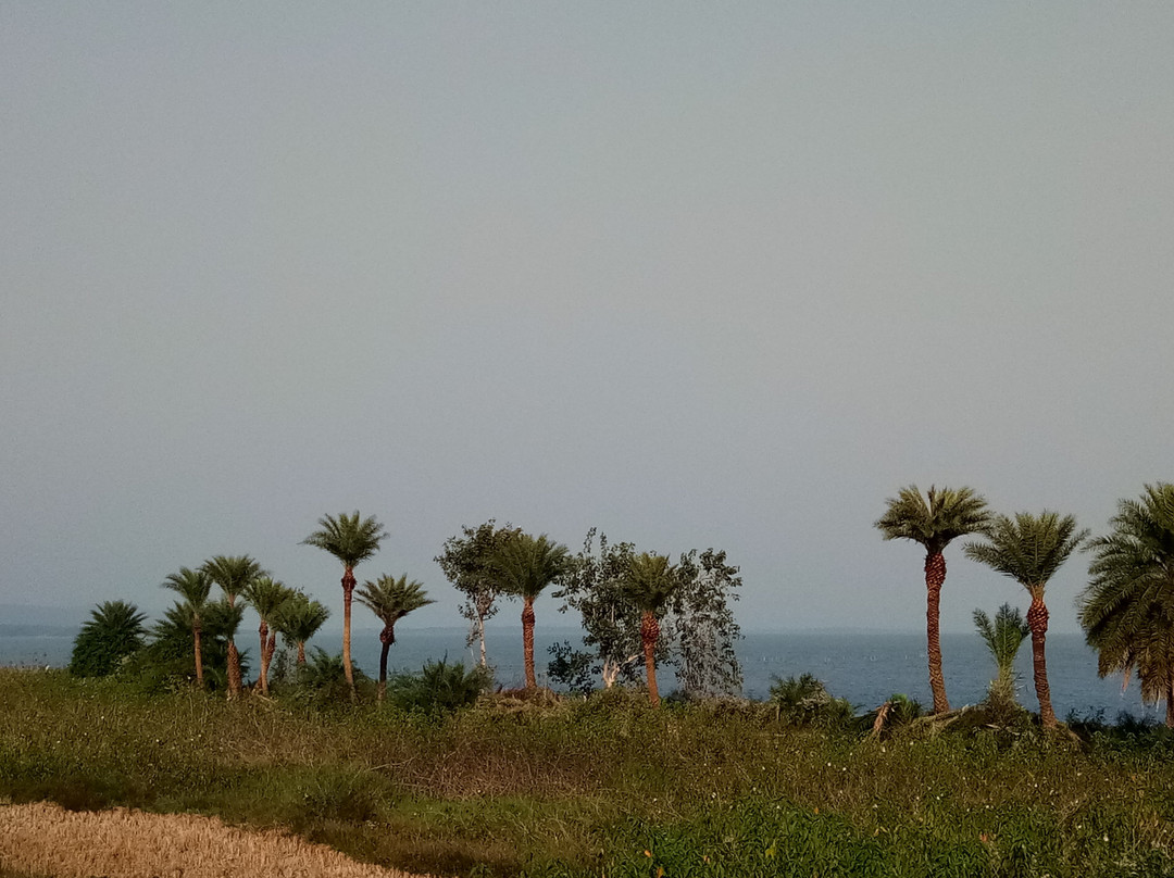 Chilika Wildlife Sanctuary景点图片