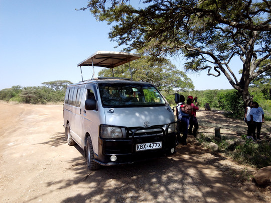 Afrikan Buffalo Wildlife Safaris-马林地必去景点