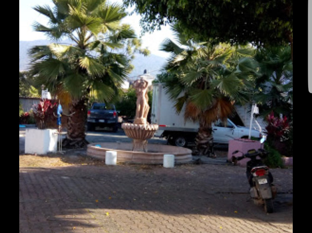 Hotel Oasis