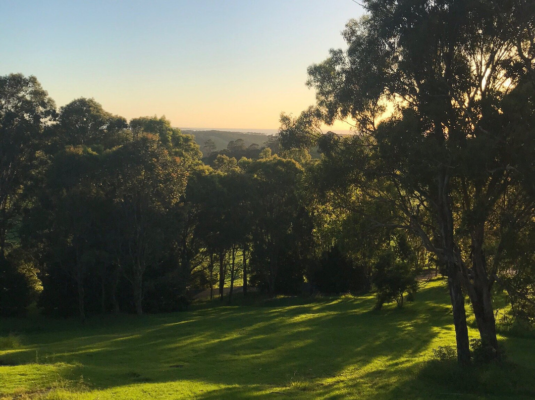 The Bryn at Tilba主图