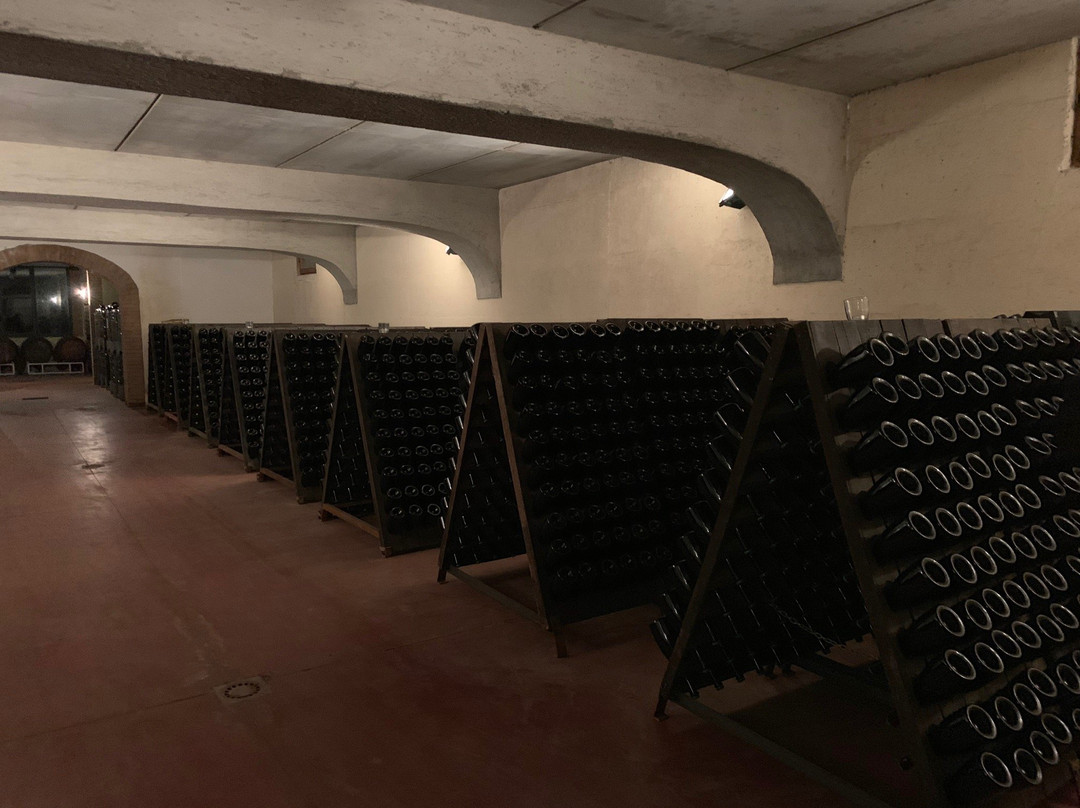Azienda Agricola Ugo Vezzoli景点图片