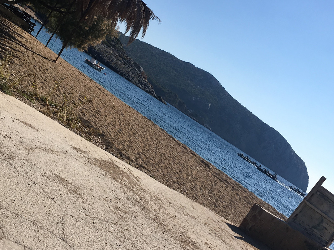 Tarti旅游攻略图片