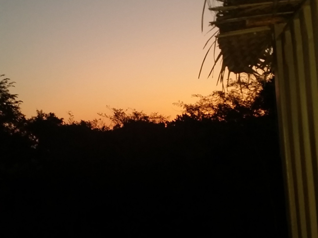 The Backwaters主图