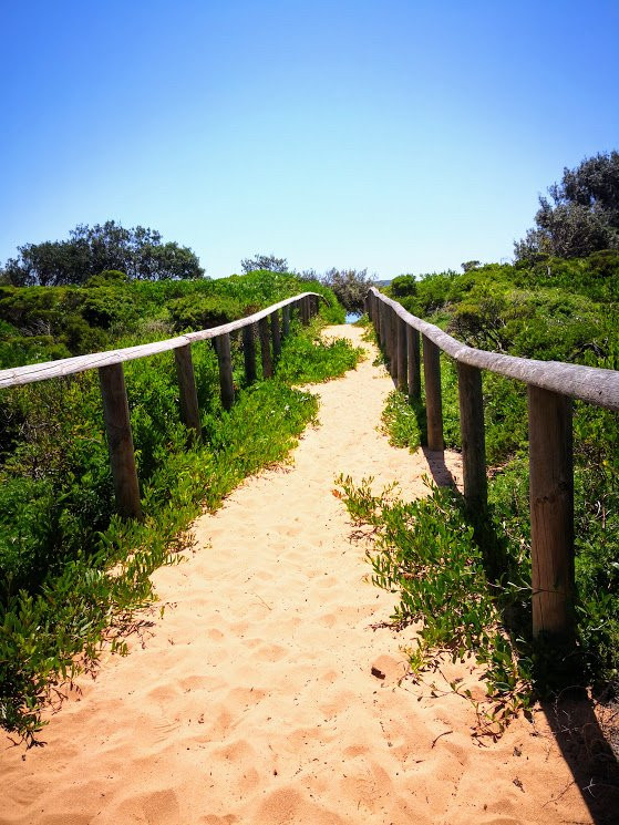 Dee Why Lagoon景点图片