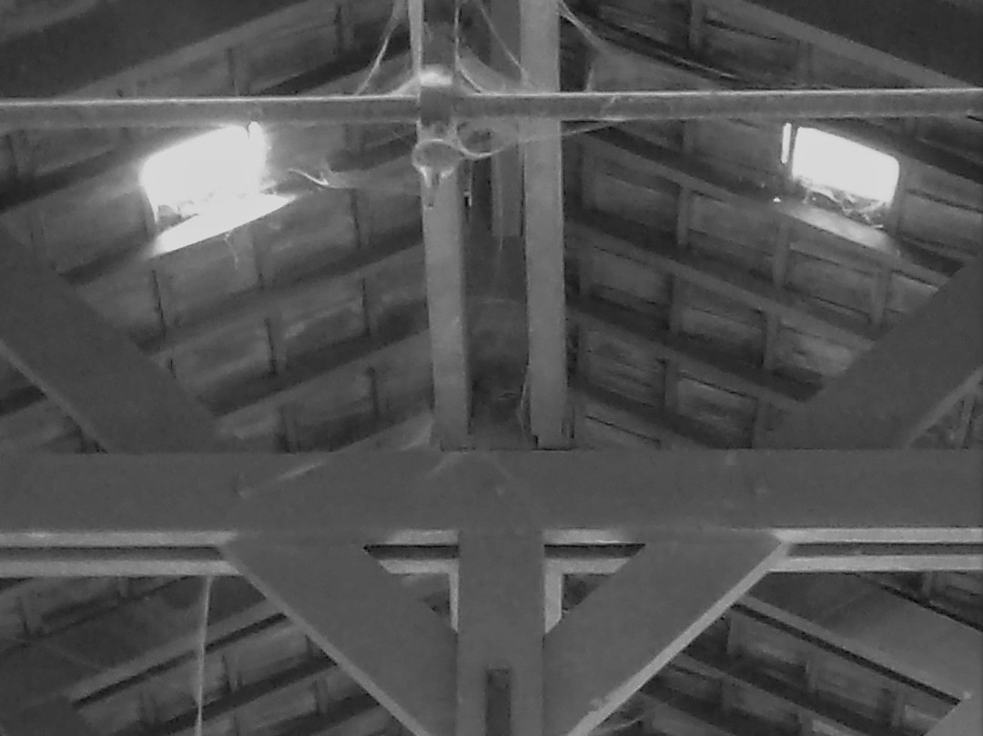 Marché central de Tunis, Fondouk El Ghala-突尼斯必去景点