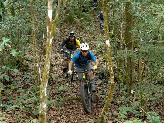 Meraki Mountain Bike Tours-朴次茅斯必去景点