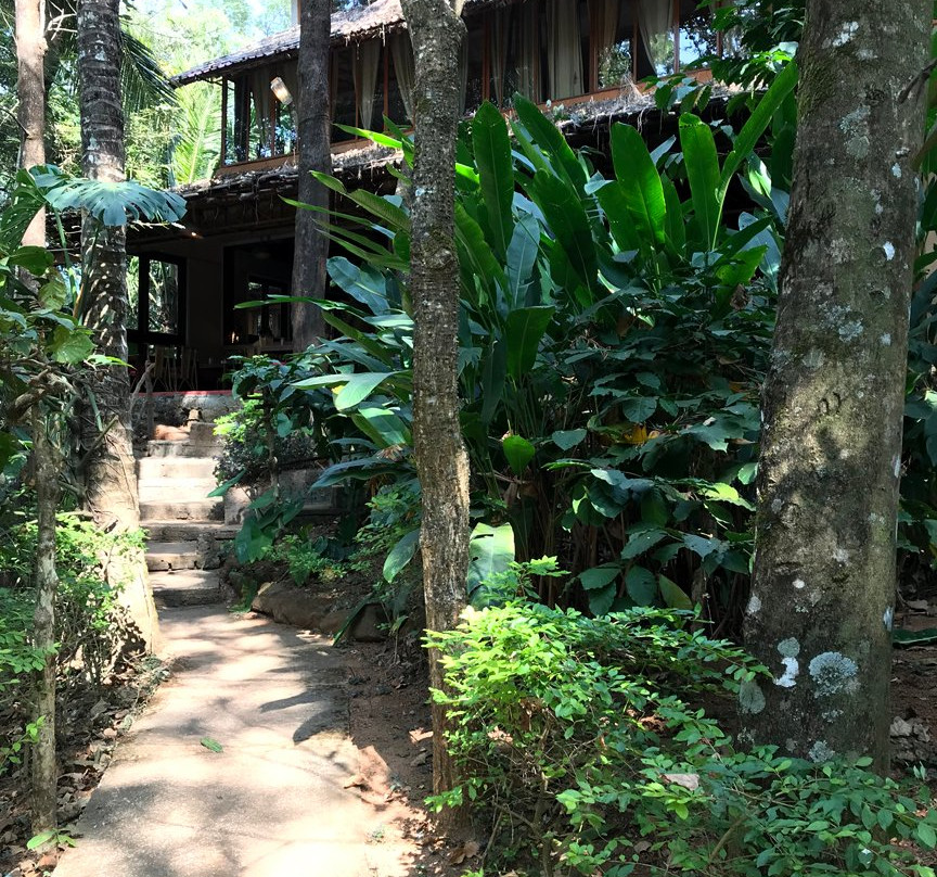 Banasura Hill Resort主图